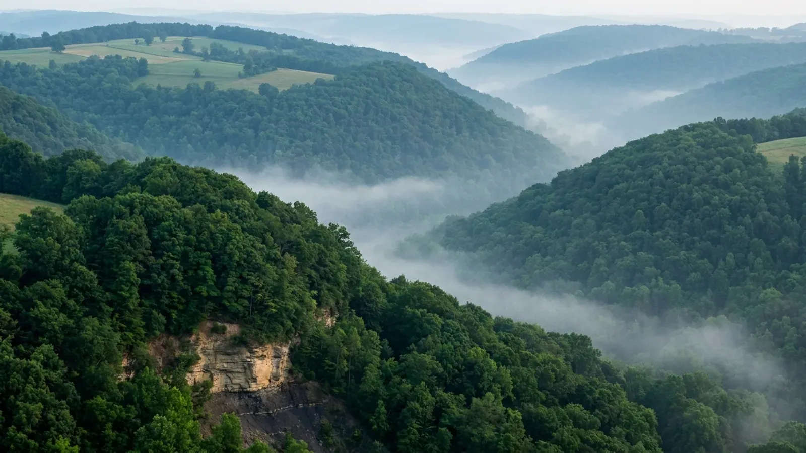 Steep wooded hills and hollows of the Allegheny Plateau with hilltop hayfields and morning fog lying in the valleys.